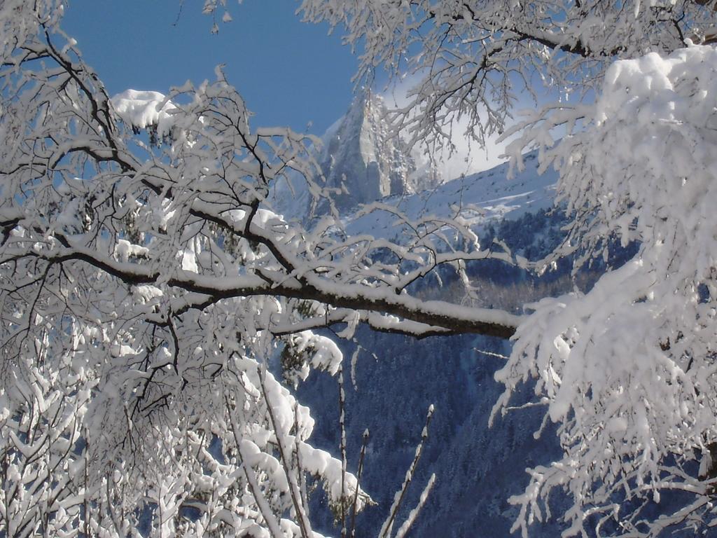 Chalet Altitude 1057