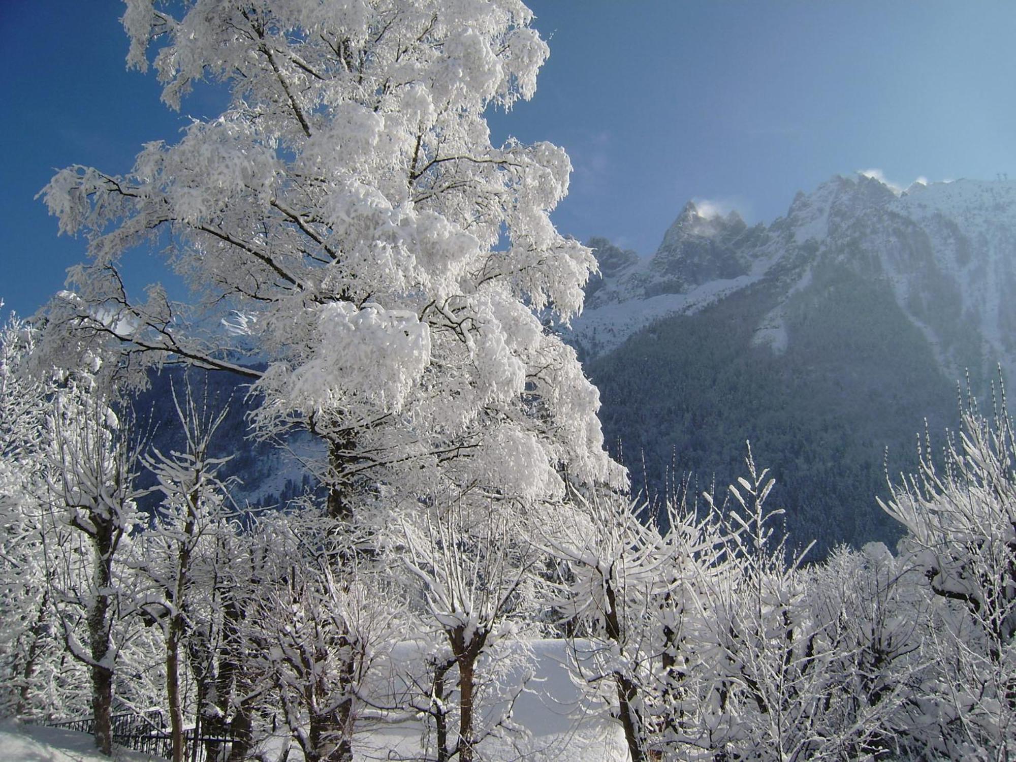 Altitude 1057 Chalet Chamonix